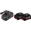 Bosch 1600A00B8J 18V Li-Ion Accu Starterset (2x 5.0Ah) + Lader -Winkel Voor Huishoudelijk Gereedschap 1f14bc1c1d018b49cd5238322a6c948b