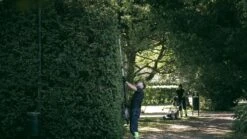 Cramer 82PHT 82V Li-Ion Accu Telescopische Steel Heggenschaar Body - 2.70-3.40 M - Koolborstelloos -Winkel Voor Huishoudelijk Gereedschap 63f8eb808c9cbf0159dd9b49d1d491cd