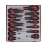 Teng Tools TTD914N 14-delige Schroevendraaierset In Tray - PH/PZ/SL -Winkel Voor Huishoudelijk Gereedschap 88aed8b3f94906b658e37e3dd284d5c6