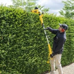 Powerplus POWXG2043 Haagschaar - 750W - Telescopisch 8 Powerplus POWXG2043 Haagschaar - 750W - Telescopisch -Winkel Voor Huishoudelijk Gereedschap 96cfd46e6db98dbdcaba14f4bb286d7c