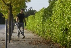 Stiga BL 980 R Benzine Bladblazer - 75,6cc - 2-takt - 100m/s - 25m³/min - 3,1kW 27 Stiga BL 980 R Benzine Bladblazer - 75,6cc - 2-takt - 100m/s - 25m³/min - 3,1kW -Winkel Voor Huishoudelijk Gereedschap af36fc04125bf7fe96c90a2a0b5ef8f3