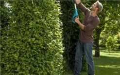 Gardena THS 500/48 Heggenschaar - 500W - 48cm -Winkel Voor Huishoudelijk Gereedschap b9cedffbf0b5c137441343e65ab229f5