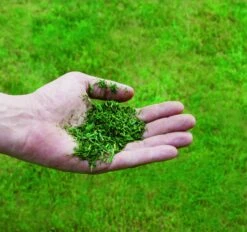 Einhell GC-PM 51/3 S HW-E Benzine Grasmaaier - 2700W - 170ccm -Winkel Voor Huishoudelijk Gereedschap cdb9e4dbf14cd569af1dec25f9663888