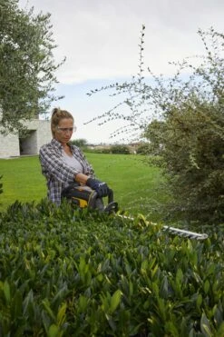 Stiga HT 700e Accu Heggenschaar Body - 56cm - 34mm -Winkel Voor Huishoudelijk Gereedschap cff7c6dab2bfae4178513e0c0a7e9b57